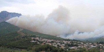 Φωτια στην Άνδρο – Καίει δασική έκταση 3