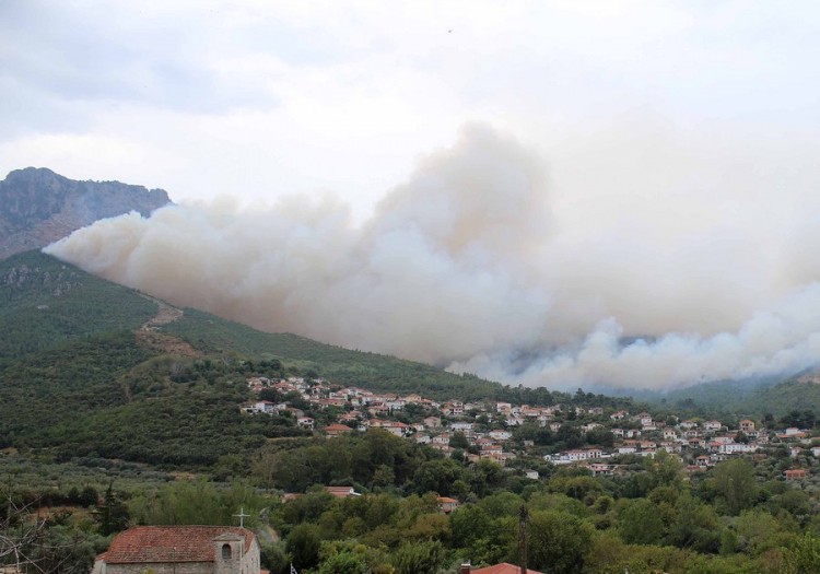 Φωτια στην Άνδρο – Καίει δασική έκταση 3