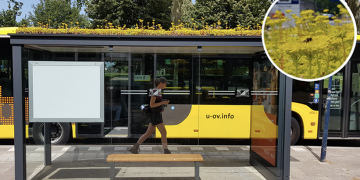 Ολλανδία: «Φιλόξενες» για τις μέλισσες οι στάσεις λεωφορείων