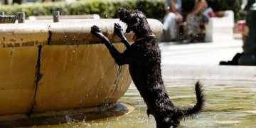 (Φωτ.: αρχείο ΑΠΕ-ΜΠΕ)