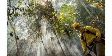 Ποιοι και πώς επωφελούνται από την καταστροφή του δάσους στη Βραζιλία;