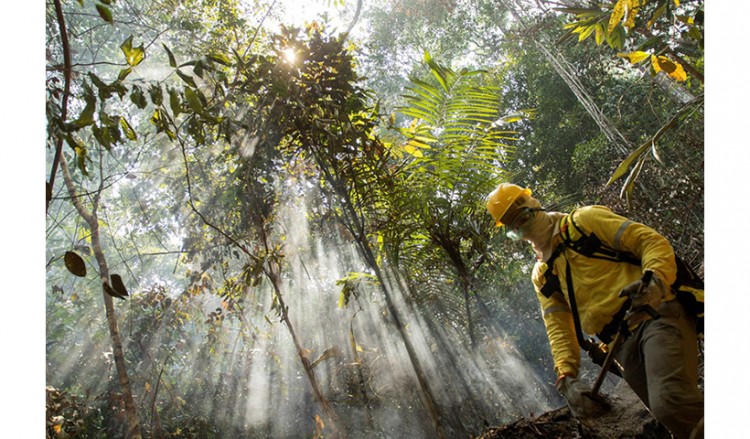Ποιοι και πώς επωφελούνται από την καταστροφή του δάσους στη Βραζιλία;