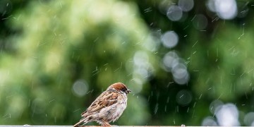 Αίθριος ο καιρός σήμερα – Αλλάζει σταδιακά το σκηνικό