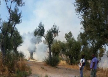 Νέα εξέγερση μεταναστών στη Μόρια – Φωτιές μέσα και έξω από το hotspot (βίντεο) - Media Gallery