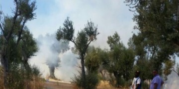 Νέα εξέγερση μεταναστών στη Μόρια – Φωτιές μέσα και έξω από το hotspot (βίντεο) - Media Gallery