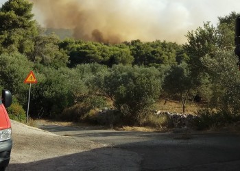 Υπό έλεγχο η πυρκαγιά στην Παλλήνη