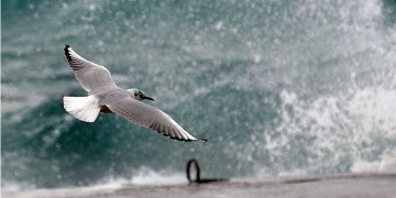 Καιρός: Θυελλώδεις βοριάδες σήμερα στο Αιγαίο