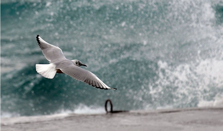 Καιρός: Θυελλώδεις βοριάδες σήμερα στο Αιγαίο