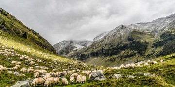Με ηλιοφάνεια και τοπικές νεφώσεις ο καιρός σήμερα 6