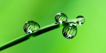 Καιρός: Η «Θάλεια» έφθασε – Βροχές και καταιγίδες, χαλάζι και κεραυνοί σήμερα