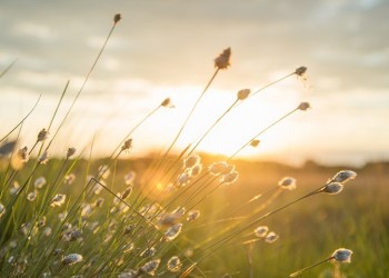 Meteo: Λιακάδα και θερμοκρασίες έως 32 βαθμούς την Κυριακή