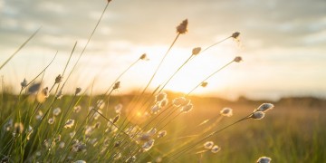 Meteo: Λιακάδα και θερμοκρασίες έως 32 βαθμούς την Κυριακή