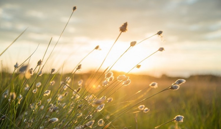 Meteo: Λιακάδα και θερμοκρασίες έως 32 βαθμούς την Κυριακή