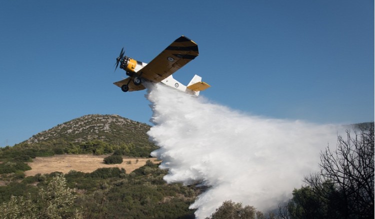Φωτιά στην Άνδρο – Καίει δασική έκταση