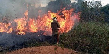 Εξαπλώνονται οι πυρκαγιές στον Αμαζόνιο