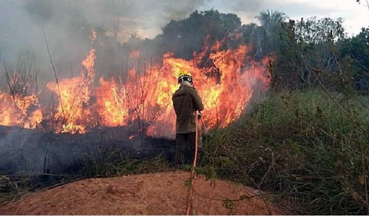 Εξαπλώνονται οι πυρκαγιές στον Αμαζόνιο