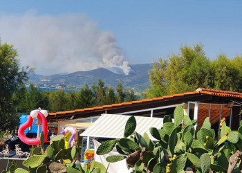Φωτιά στην περιοχή Θεσπρωτικού Πρεβέζης