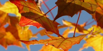 Βελτίωση του καιρού σήμερα, μικρή άνοδος της θερμοκρασίας