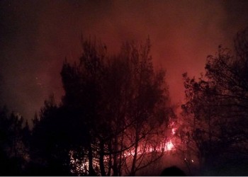 Μεγάλη φωτιά στο Πόρτο Ράφτη – Εκκενώθηκαν σπίτια (βίντεο)