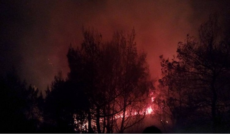 Μεγάλη φωτιά στο Πόρτο Ράφτη – Εκκενώθηκαν σπίτια (βίντεο)