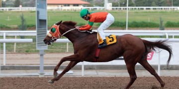 Όλοι οι δρόμοι οδηγούν αύριο στο Markopoulo Park – Γαστρονομικές εκπλήξεις και δραστηριότητες για παιδιά