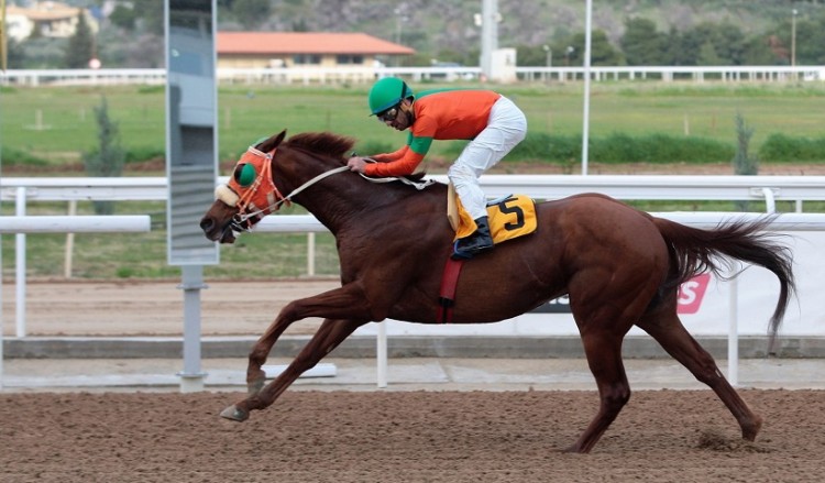 Όλοι οι δρόμοι οδηγούν αύριο στο Markopoulo Park – Γαστρονομικές εκπλήξεις και δραστηριότητες για παιδιά