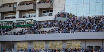 Απόβαση γεύσεων στο Markopoulo Park – Μια μοναδική γαστρονομική συνάντηση