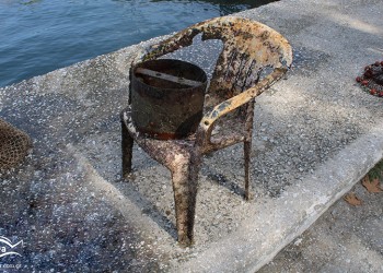 Θάσος: Τι αποκάλυψε ο καθαρισμός του βυθού σε παραλίες του νησιού