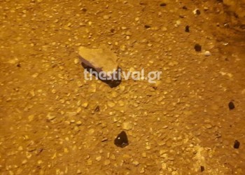 Θεσσαλονίκη: Επίθεση αγνώστων σε σύνδεσμο φιλάθλων του ΠΑΟΚ (βίντεο)