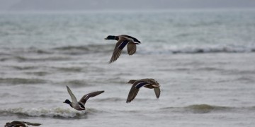 Μικρή άνοδος θερμοκρασίας και νοτιάδες – Πού θα βρέξει την Τετάρτη