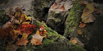 Καιρός: Τοπικές νεφώσεις και θερμοκρασία στα ίδια επίπεδα