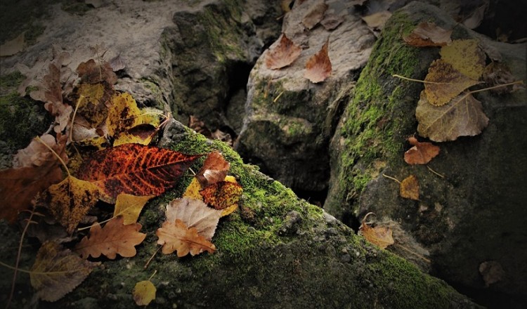 Καιρός: Τοπικές νεφώσεις και θερμοκρασία στα ίδια επίπεδα