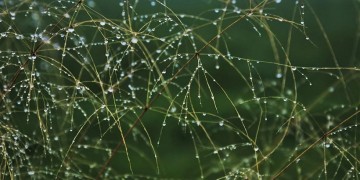 Χαλάει ο καιρός σήμερα – Η μεταβολή ξεκινά από τα βόρεια