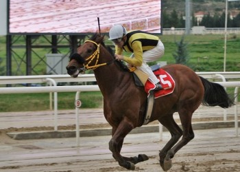 Markopoulo Park: Αυλαία στο 2019 με μεγάλα κέρδη στο ΣΚΟΡ 6
