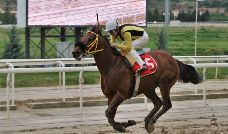 Markopoulo Park: Αυλαία στο 2019 με μεγάλα κέρδη στο ΣΚΟΡ 6