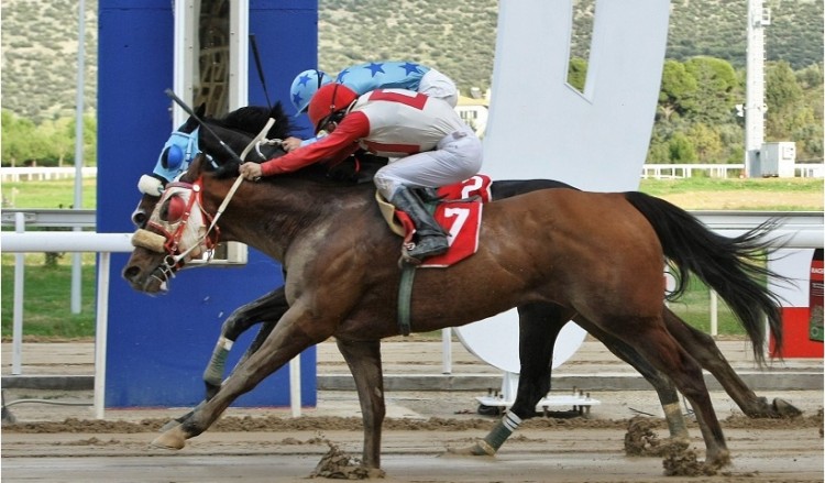 Markopoulo Park: Μεγάλα κέρδη μοίρασε το ΣΚΟΡ 6 (φωτο, βίντεο)