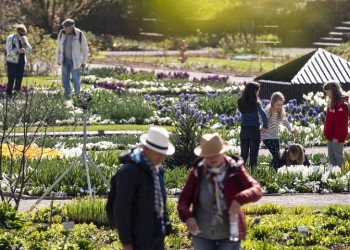 Θερμή εισβολή στην Ευρώπη μέχρι τις 20 Δεκεμβρίου
