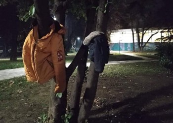 Με μπουφάν θα «ντυθούν» τα δέντρα της Έδεσσας, για όσους τα έχουν ανάγκη