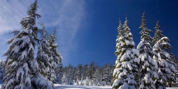 Αλεξανδρούπολη: Κλειστά τα σχολεία στον ορεινό όγκο Σουφλίου