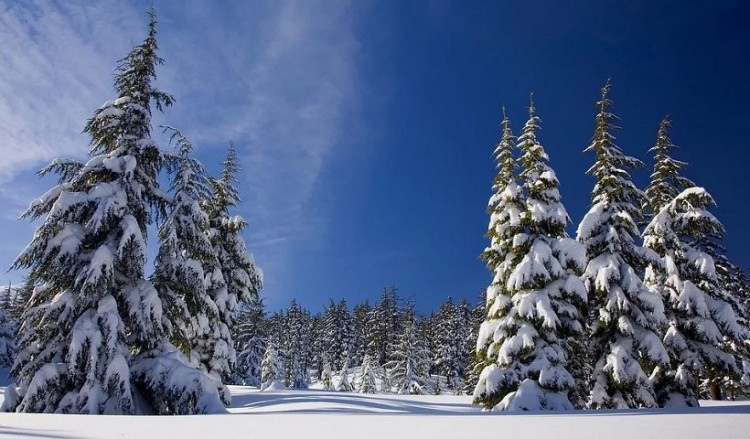 Αλεξανδρούπολη: Κλειστά τα σχολεία στον ορεινό όγκο Σουφλίου