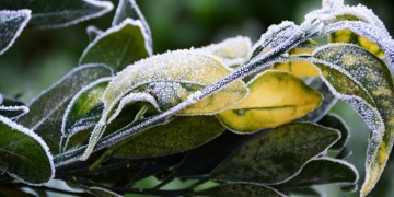 Καιρός: Κρύο και νεφώσεις με τοπικές βροχές την Πέμπτη