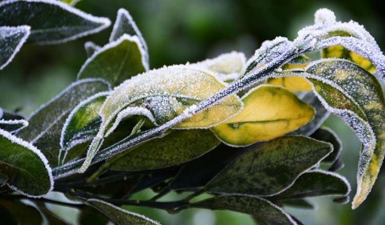 Καιρός: Κρύο και νεφώσεις με τοπικές βροχές την Πέμπτη