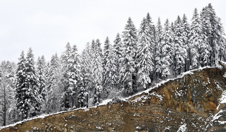 Καιρός: Πού και πότε αναμένονται βροχές, χιόνια και θυελλώδεις άνεμοι