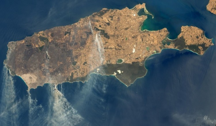 Οι πυρκαγιές στην Αυστραλία έκαψαν έκταση όσο το ένα τρίτο της Ελλάδας – Ανυπολόγιστες οι επιπτώσεις