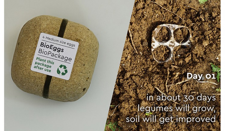 Θεσσαλονίκη: Καινοτόμος συσκευασία αυγών φυτεύεται και δίνει... φακές