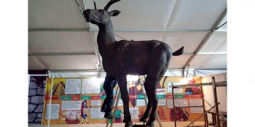 Στην Κατερίνη το μεγαλύτερο σοκολατένιο ελάφι του κόσμου, που διεκδικεί ρεκόρ Γκίνες!