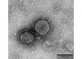 Νέος κοροναϊός: Η περίοδος επώασης είναι κατά μέσο όρο 5,2 μέρες