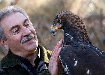 Ο... γητευτής των γερακιών και το πάρκο με τα αρπακτικά πουλιά στην Αγορά Δράμας (φωτο, βίντεο)