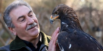 Ο... γητευτής των γερακιών και το πάρκο με τα αρπακτικά πουλιά στην Αγορά Δράμας (φωτο, βίντεο)