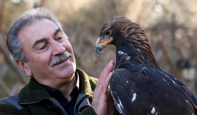 Ο... γητευτής των γερακιών και το πάρκο με τα αρπακτικά πουλιά στην Αγορά Δράμας (φωτο, βίντεο)